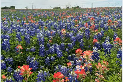 00 0 Fm-660, Ennis, TX 75119 - Photo 5