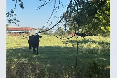 15575 County Road 116, Mabank, TX 75147 - Photo 13