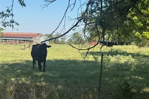 15575 Co Rd 116, Mabank, TX 75147 - Photo 13