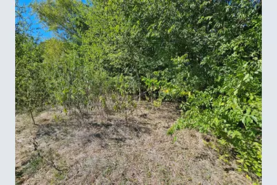 151 County Road 3567, Dike, TX 75437 - Photo 25