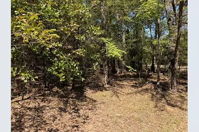 34730 County Road, Paris, TX 75473 - Photo 5