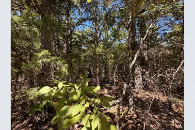 34730 County Road, Paris, TX 75473 - Photo 3