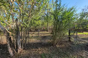 713 W Fannin, Mexia, TX 76667 - Photo 13
