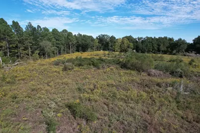 1184 S Fairway Street, Fairfield, TX 75840 - Photo 5