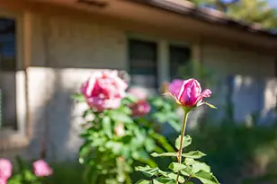 [Address not provided], Gainesville, TX 76240 - Photo 31
