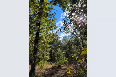 [Address not provided], Blossom, TX 75416 - Photo 35