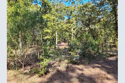 [Address not provided], Blossom, TX 75416 - Photo 5
