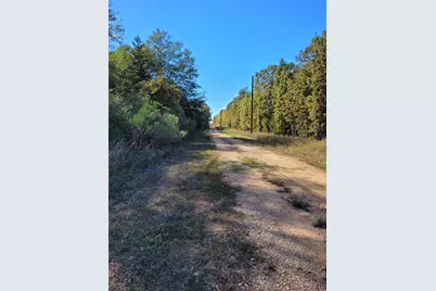 [Address not provided], Blossom, TX 75416 - Photo 3