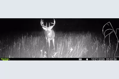 0 Fm 2554, Ivanhoe, TX 75447 - Photo 3