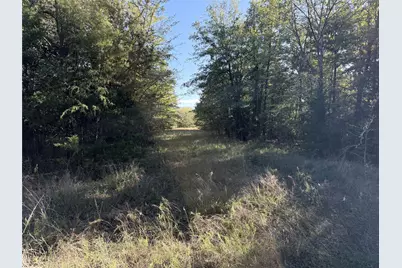 0 Fm 2554, Ivanhoe, TX 75447 - Photo 31