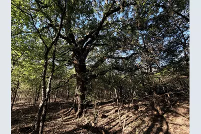 0 Fm 2554, Ivanhoe, TX 75447 - Photo 15
