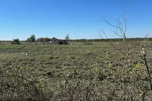 Tbd Hcr 4421, Itasca, TX 76055 - Photo 1