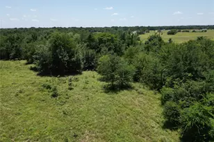 Lot 3 County Road 4766, Sulphur Springs, TX 75482 - Photo 1