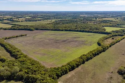 150+/- Acres Tbd Cr 4700, Bonham, TX 75418 - Photo 15