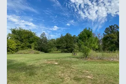 Tr 9A1 & 9C Fm 2709, Eustace, TX 75124 - Photo 11
