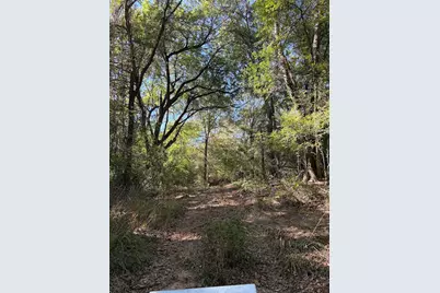 213 Northline Road, Teague, TX 75860 - Photo 29
