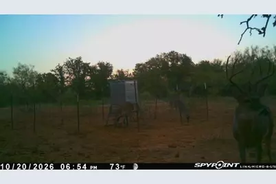 0000 Kramer Road, Graham, TX 76450 - Photo 39