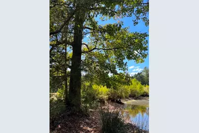 800 Fm 312, Winnsboro, TX 75494 - Photo 25