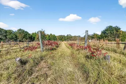 1603 Vz County Road 2908, Eustace, TX 75124 - Photo 21