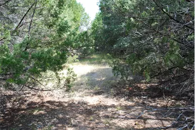 25063 Woodmont Drive, Whitney, TX 76692 - Photo 11
