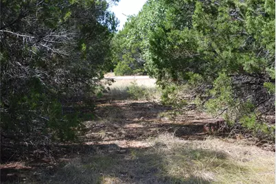 25063 Woodmont Drive, Whitney, TX 76692 - Photo 5