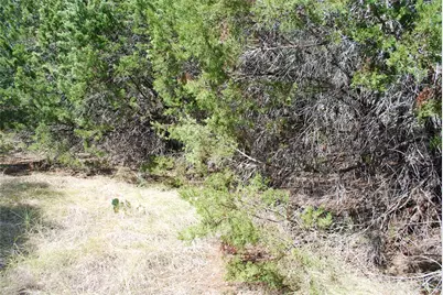25063 Woodmont Drive, Whitney, TX 76692 - Photo 9