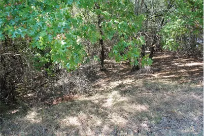 17157 Woodway Drive, Whitney, TX 76692 - Photo 9