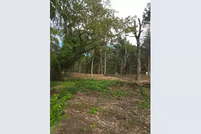 1981 Underwood Drive, Quinlan, TX 75474 - Photo 19