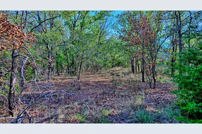 Lot 77 Red Oak Hills Road, Nocona, TX 76255 - Photo 23