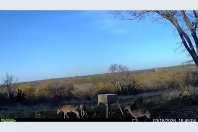 10350 W Clear Creek Road, Sanger, TX 76266 - Photo 25