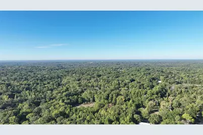 854 Cr 1019 Blocker Road, Marshall, TX 75672 - Photo 11