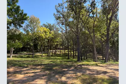 22080 County Road 4117, Frankston, TX 75763 - Photo 35