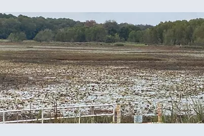 Tbd Fm 315, Palestine, TX 75803 - Photo 13