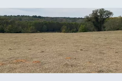 Tbd Fm 315, Palestine, TX 75803 - Photo 3