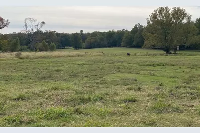 Tbd Fm 315, Palestine, TX 75803 - Photo 11