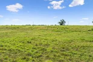 Tbd Lcr 707, Kosse, TX 76653 - Photo 11