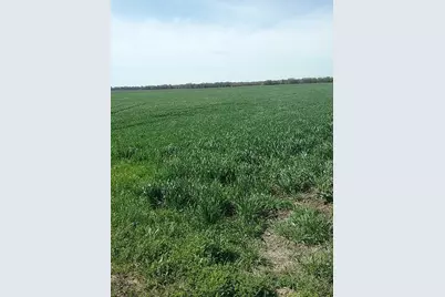 Tbd Dale Acres Road, Milford, TX 76670 - Photo 1