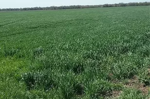 Tbd Dale Acres Rd, Milford, TX 76670 - Photo 1