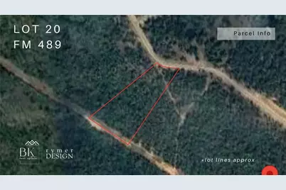 Lot 20 Fm 489, Fairfield, TX 75840 - Photo 1