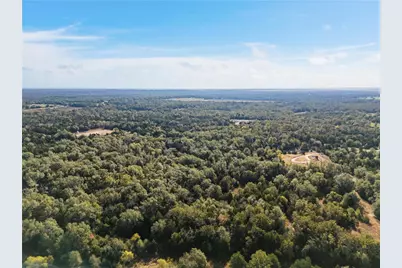 Tbd W Fm 489, Teague, TX 75860 - Photo 9