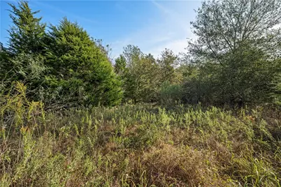 Tbd W Fm 489, Teague, TX 75860 - Photo 5