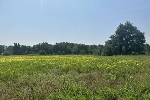 Hwy 14 N Hwy 14, Mexia, TX 76667 - Photo 1