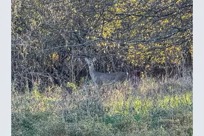 Tbd Tract 2 Talbert Ranch Road, China Spring, TX 76633 - Photo 33
