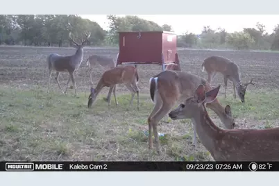 Tbd Tract 2 Talbert Ranch Road, China Spring, TX 76633 - Photo 53
