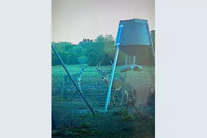 Tbd Tract 5 Talbert Ranch Road, China Spring, TX 76633 - Photo 27