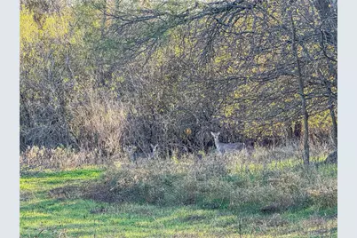 Tbd Tract 5 Talbert Ranch Road, China Spring, TX 76633 - Photo 19