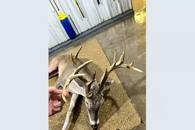 Tbd Tract 5 Talbert Ranch Road, China Spring, TX 76633 - Photo 29