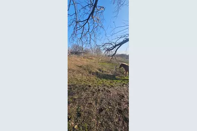 1851 Fm 339, Mount Calm, TX 76673 - Photo 13