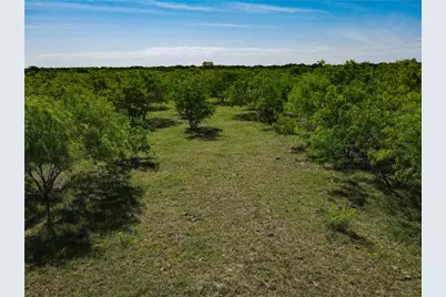 0000 Cr 4120 Road, Dawson, TX 76639 - Photo 5
