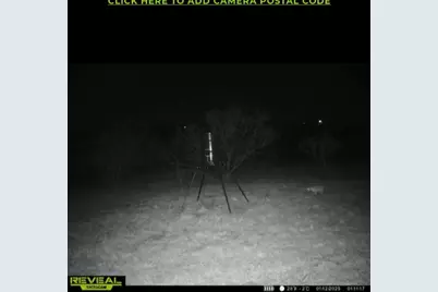 1227 Alexander Road, Moody, TX 76557 - Photo 63